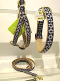 Up Country - Gridlock - West Village Collection Dog Collar