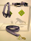 Up Country - Flower Field - Marblehead Collection Dog Lead