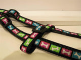 Up Country - Bright Bones - Designscape Collection Dog Harness
